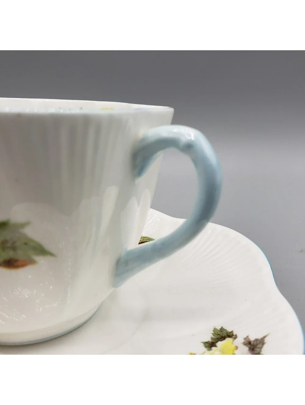 Vintage Shelley Teacup and Saucer Begonia Dainty Shape England LARGE
